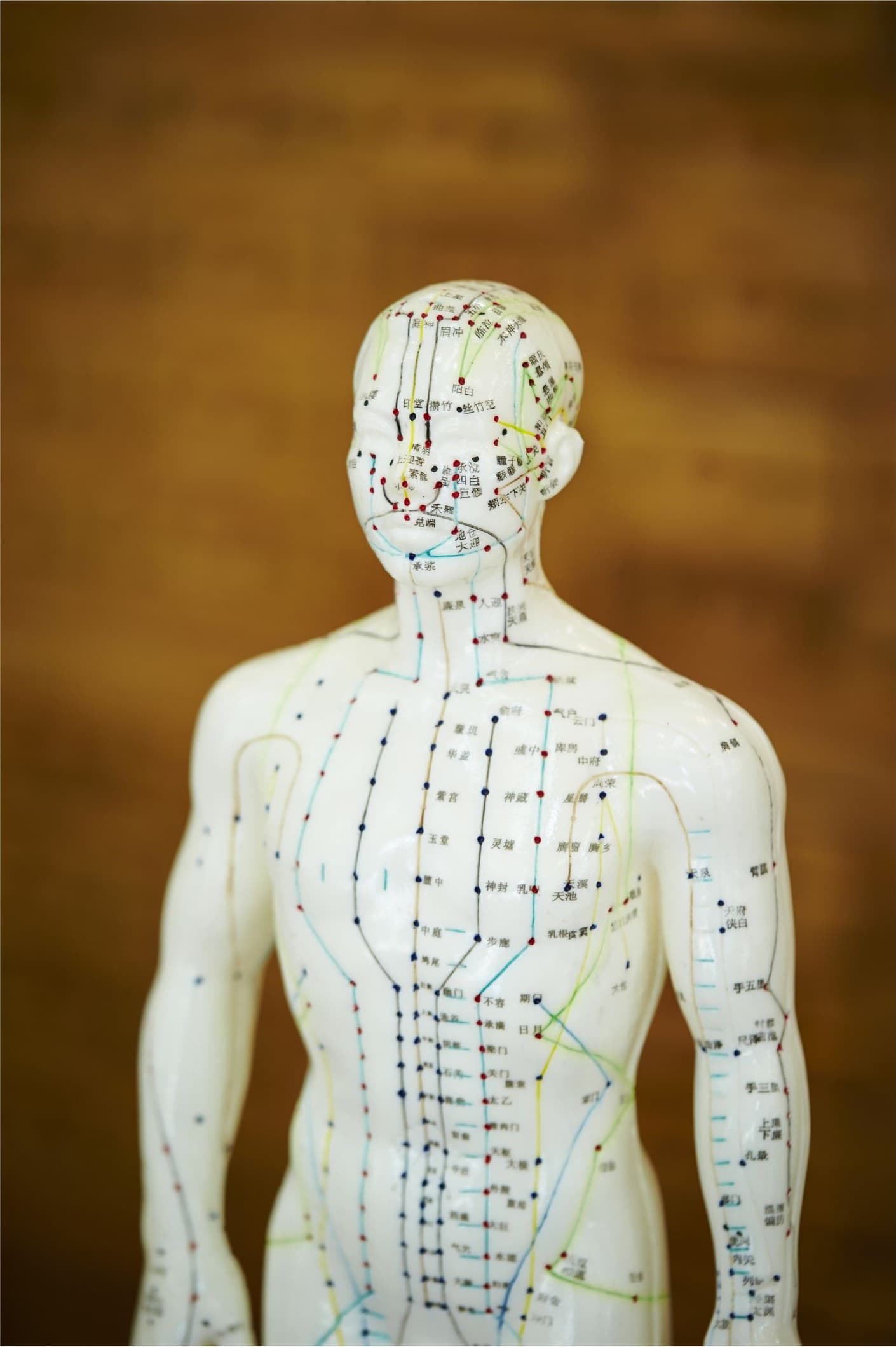 Foundations of Chinese Medicine