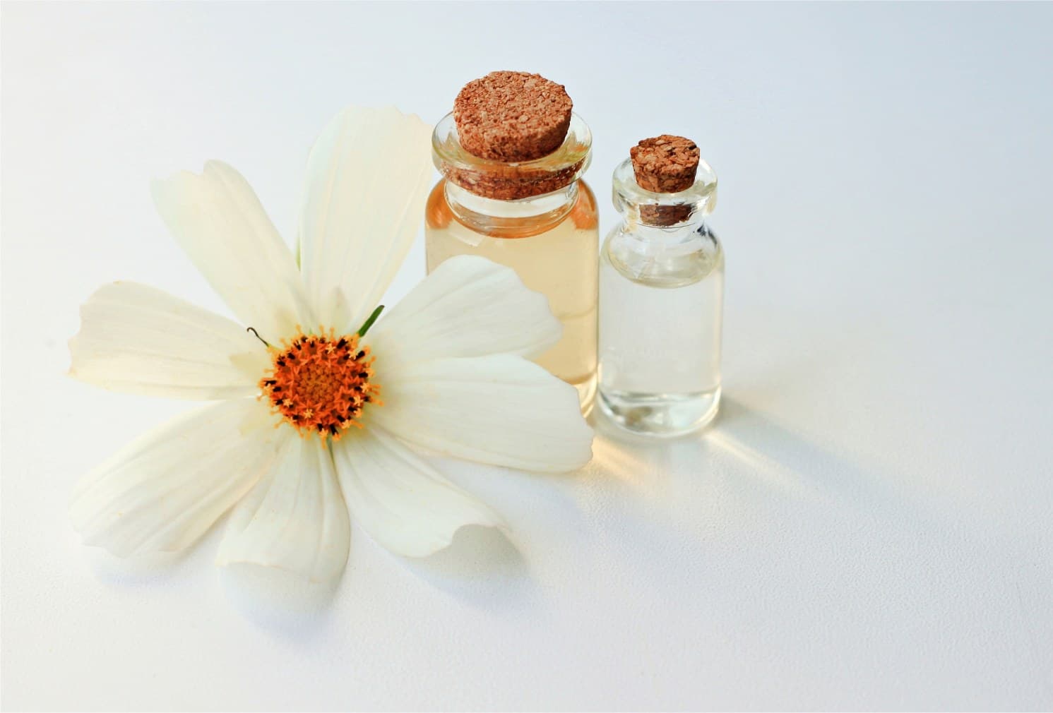 Calming Formula