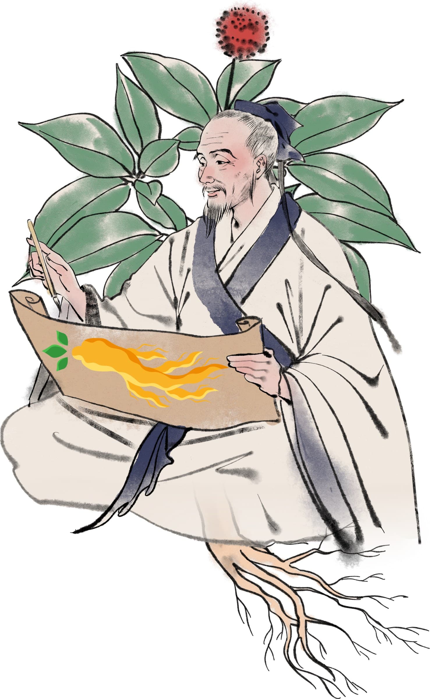 Chinese Ginseng Tonic