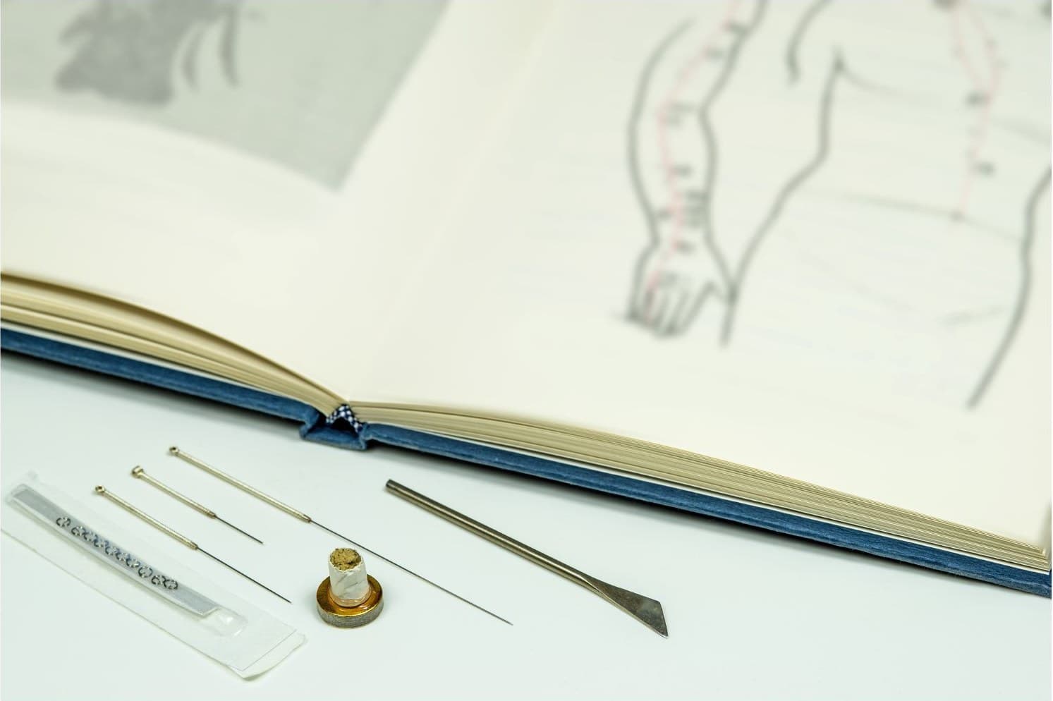Educational Services